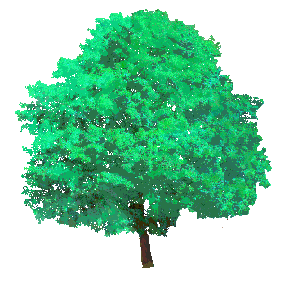 Pixel art of a tree