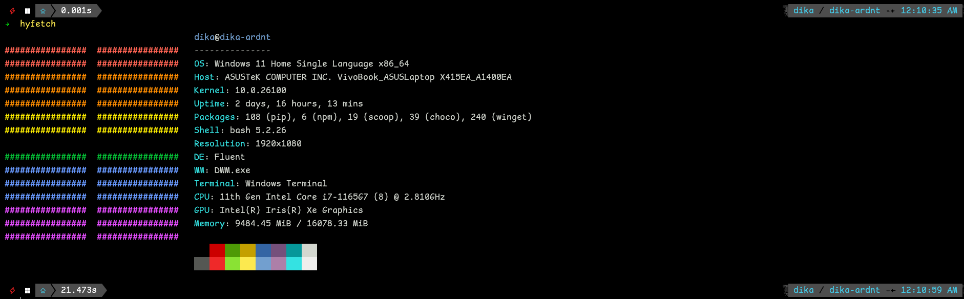 Hyfeth on Windows HyFetch